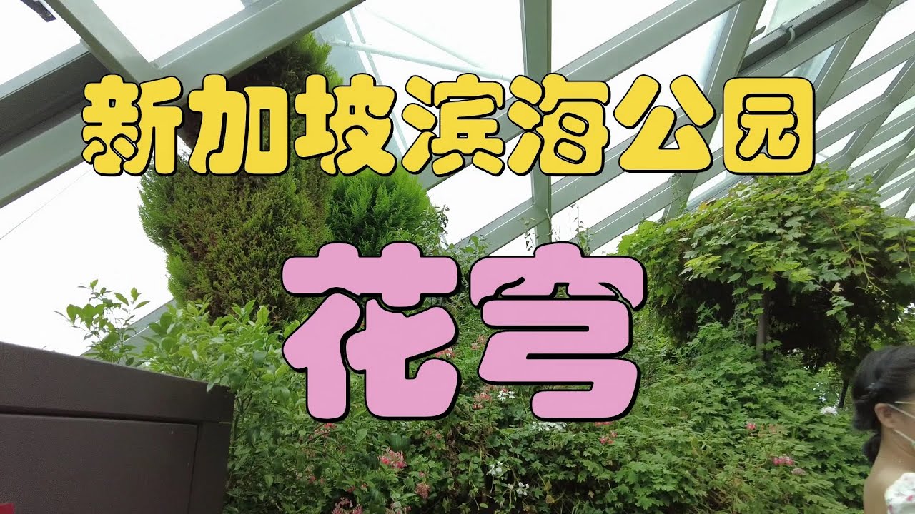 新加坡滨海公园，花穹，Bay South Garden，Flower Dome