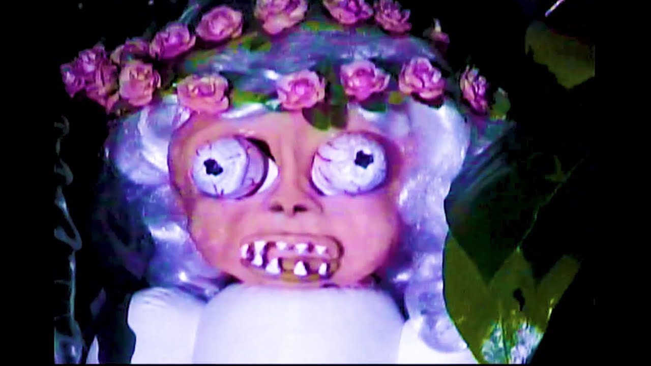 White Lung - Bird (Official Video)