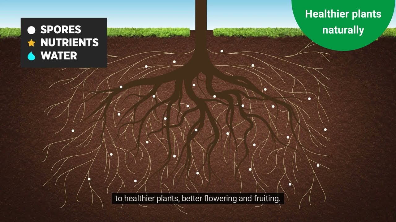 Homebase - About our Rootgrow