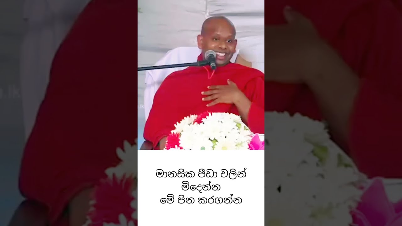 මානසික පීඩා වලින් මිදෙන්න මේ පින කරගන්න✨🙏🏼✨#bana #dharmadeshana #welimada_saddhaseela_thero 
