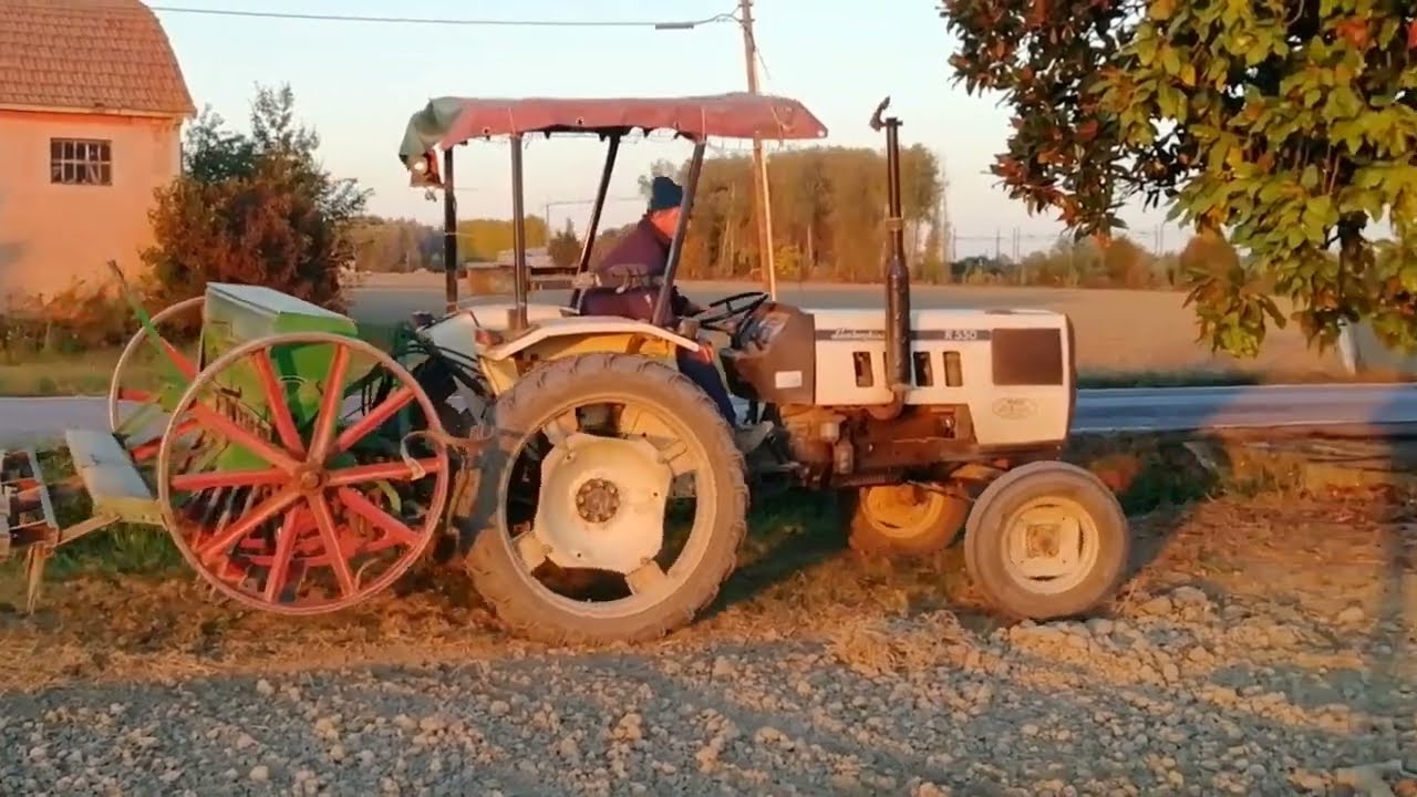 Semina grano 