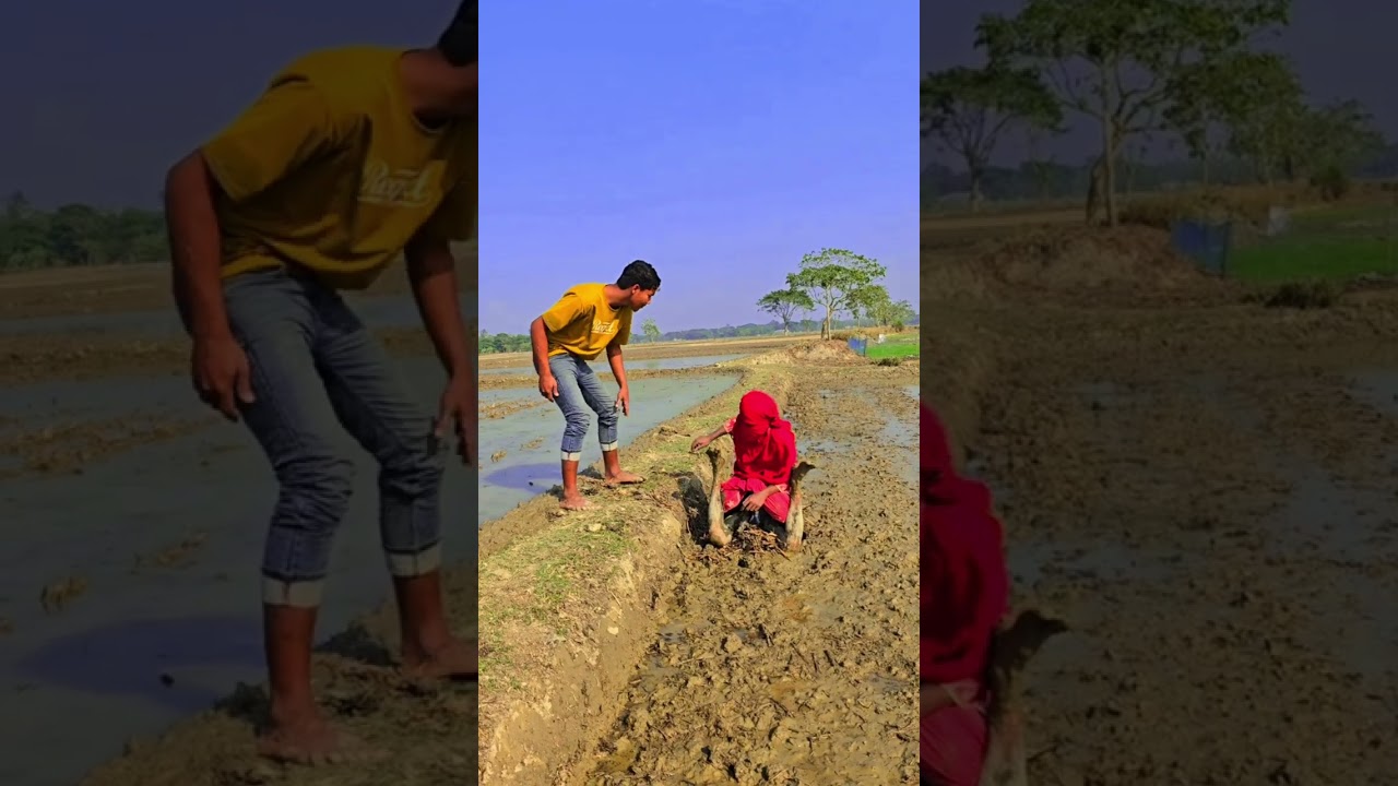 মূ*র্তি কাজ টা করে কে 