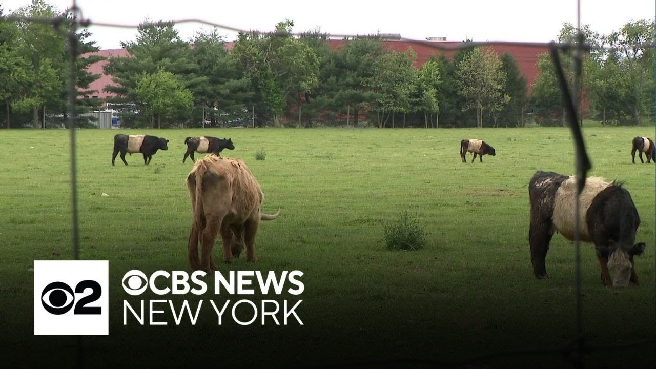 Eminent domain fight over New Jersey family farm ends after Murphy steps in