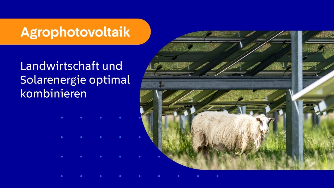 Agrophotovoltaik: Landwirtschaft und Solarenergie optimal kombinieren [Webinar]