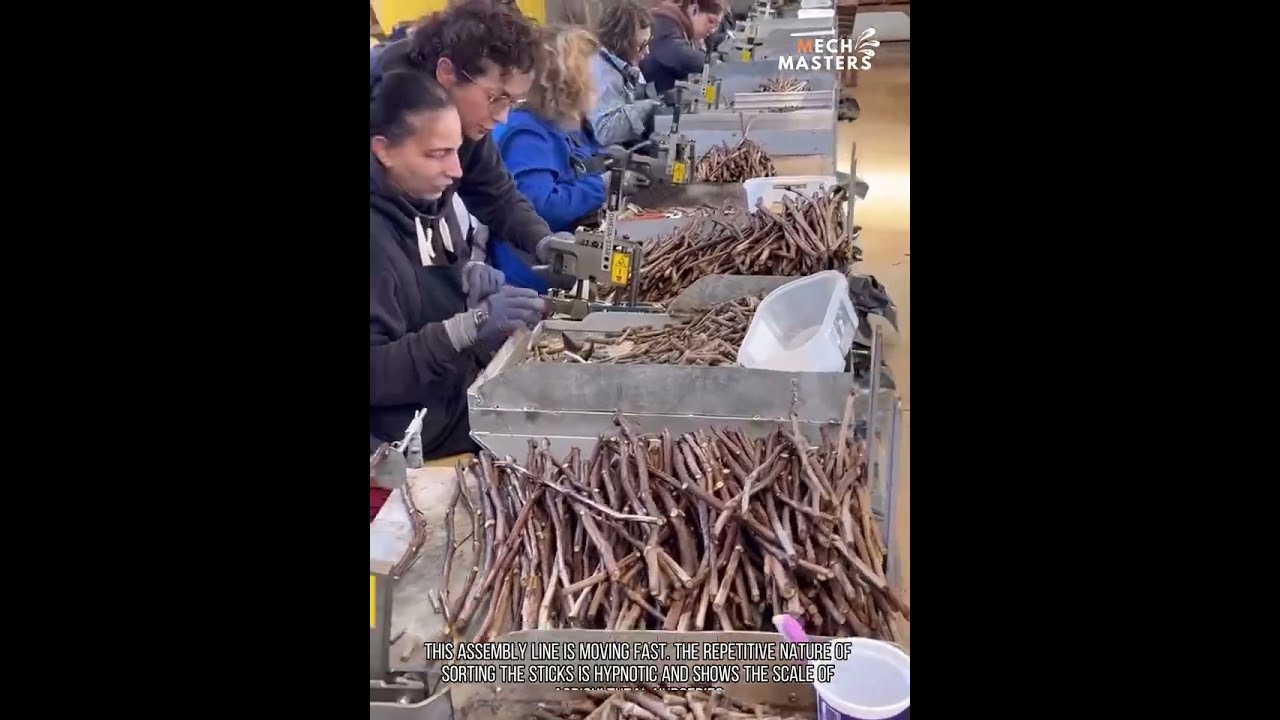 I love this video so much