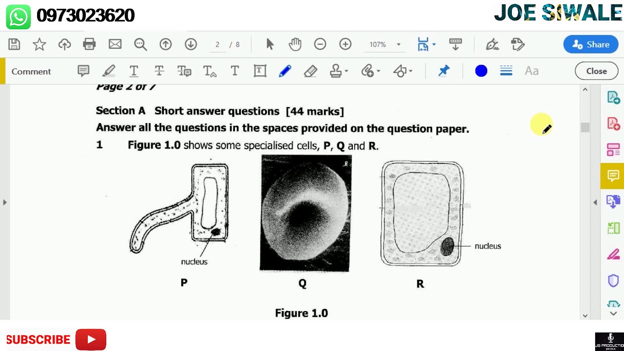 ECZ Biology past paper 2 2017. Question 1. Cells
