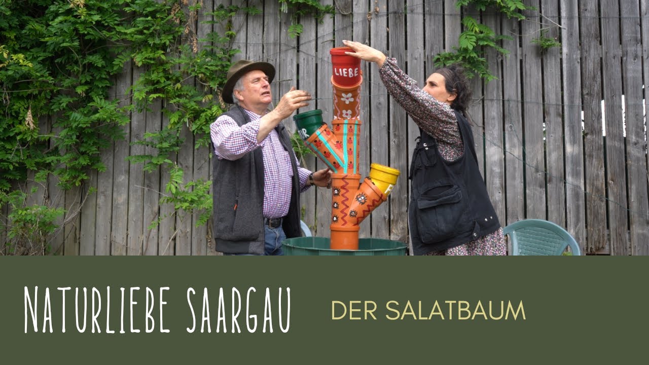 Salatbaum: Der ultimative Trick für frischen Salat auf kleinstem Raum! #naturliebesaargau #salatbaum