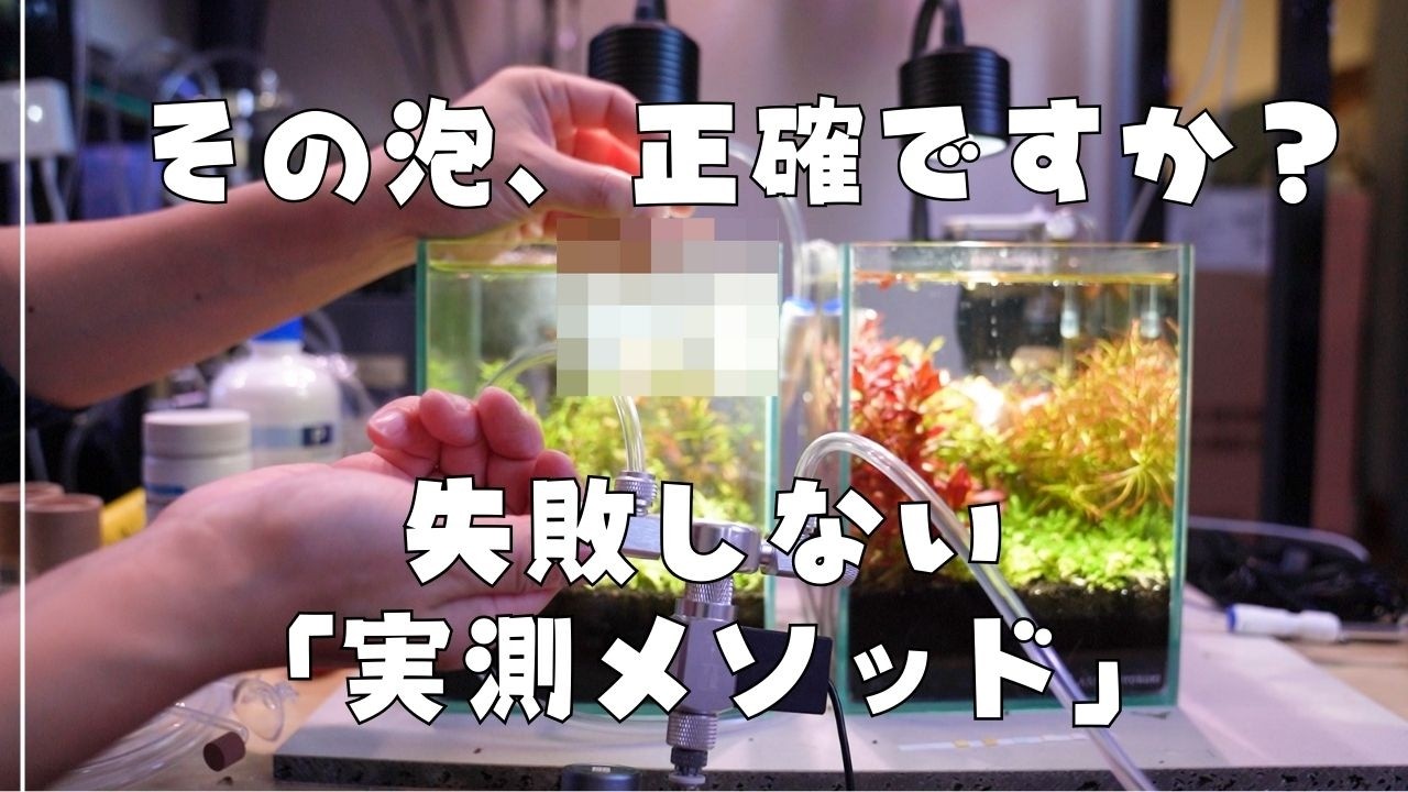 バブルカウンターを信じるな？小型水槽を復活させる「正確なCO2調整」と機材の落とし穴【アクアリウム】