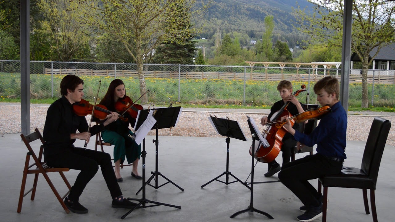 Hidden View - By Trent Freeman & The Fretless