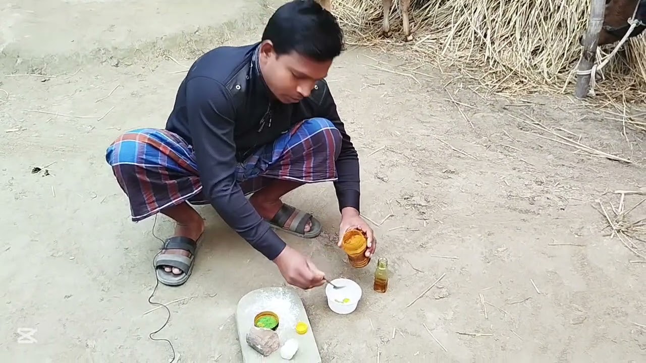 গরুর দাঁত নড়লে প্রাথমিক কি চিকিৎসা দেবেন