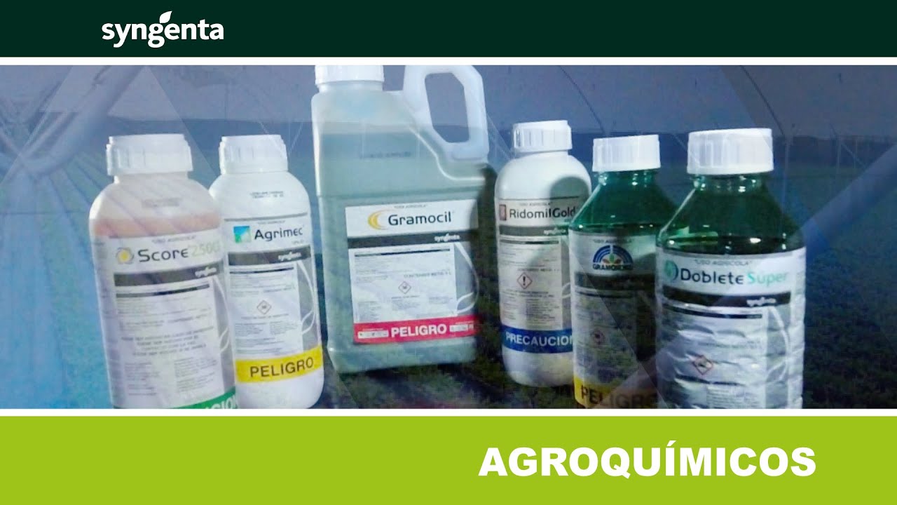 SYNGENTA  DE VENTA EN AGROBOLDER