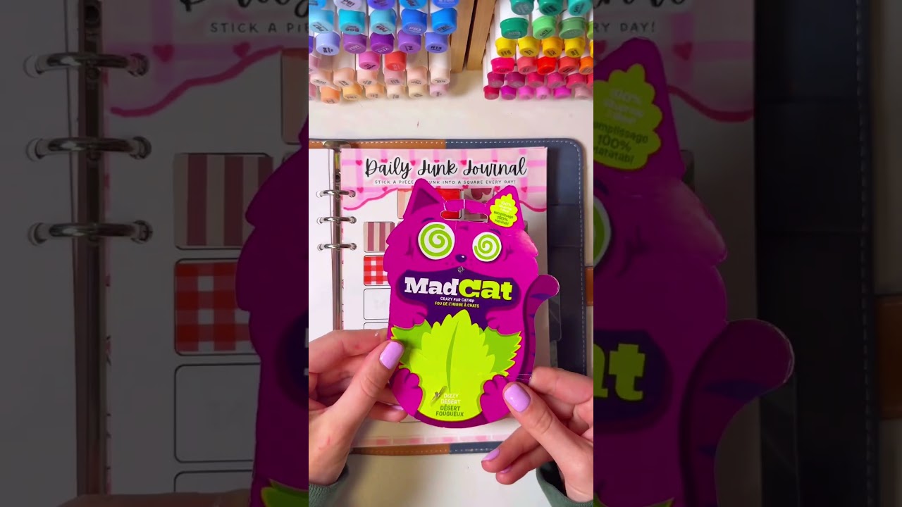 Get cozy and come bullet journal with me 🥰 #bulletjournal #journaling #junkjournal #hobby #relaxing