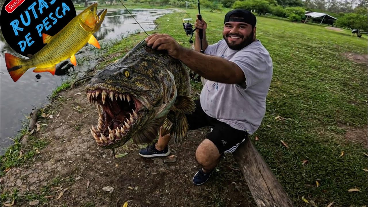 🔥LA TARARIRA MUTANTE 🔥😱 POSIBLE GRAN PESQUERO?🤔 LAGUNA PRIVADA QUE PROMETE MUCHO! CARPAS KOI ENORMES