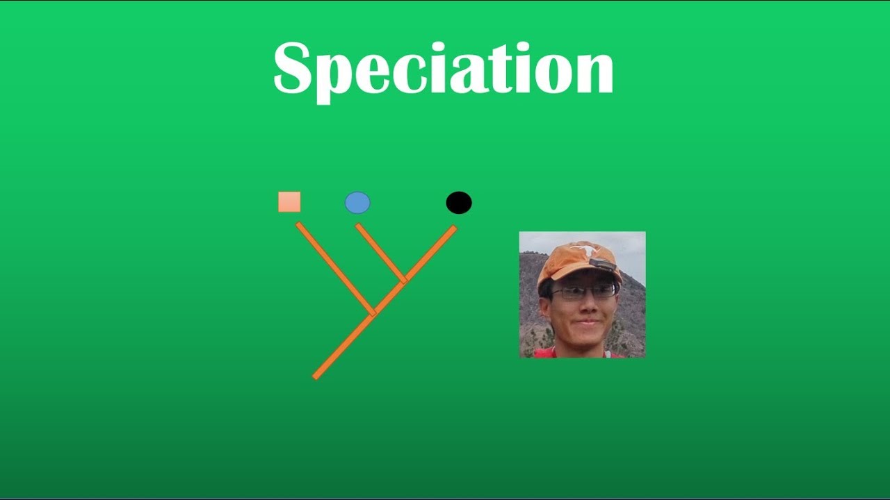 Speciation Review (BI 107)