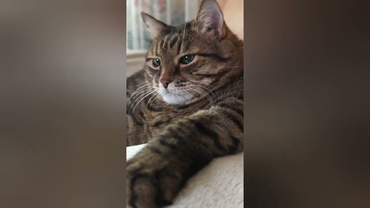 Весна и лишний вес 🌱🙀🤔🤣