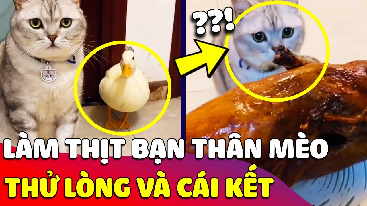 Con Sen 'B&Agrave;Y TR&Ograve;' thử l&ograve;ng ch&uacute; m&egrave;o khi biến đứa bạn th&acirc;n 'TH&Agrave;NH VỊT QUAY' v&agrave; c&aacute;i kết 😅 G&acirc;u Đần