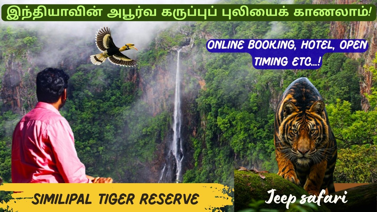 Similipal: The Untold Story of India’s Wild Heart🐅🌿| அடர்ந்த காடுகளுக்குள் ஒரு நாள் அனுபவம்😍 | Day 1