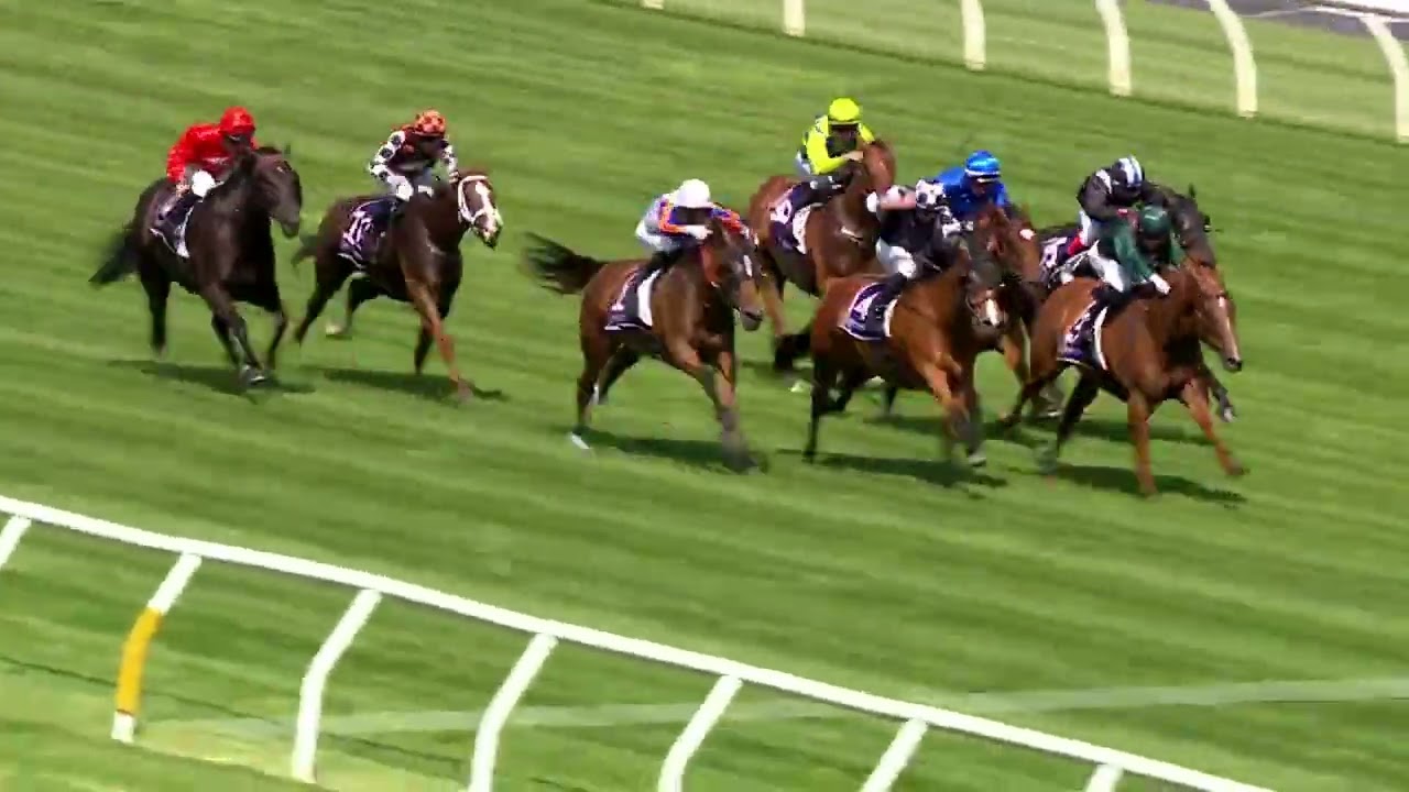 Standish Handicap 2025 - IT'SOURTIME (Hcp G3) Group 3 Flemington 11 January