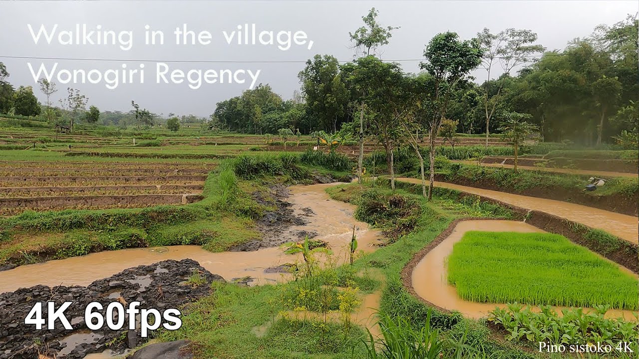 Walking during heavy rain in slogohimo village, Wonogiri I 4K walking tour in Indonesia Villages