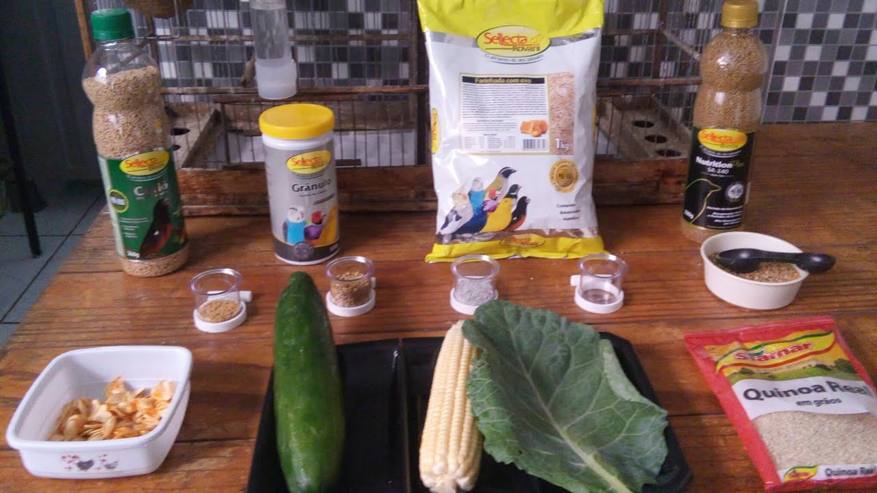 Missão Impossível 2° vídeo. alimentação da azuloa.