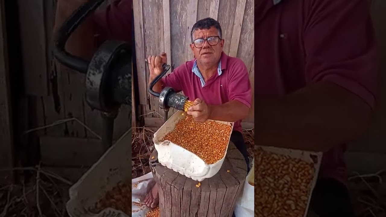 DEBULHADOR DE MILHO