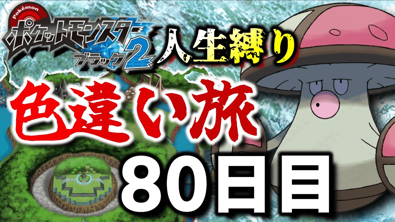 チャレンジモードで死んだら逃がす色違い旅80日目【ポケモンBW2】