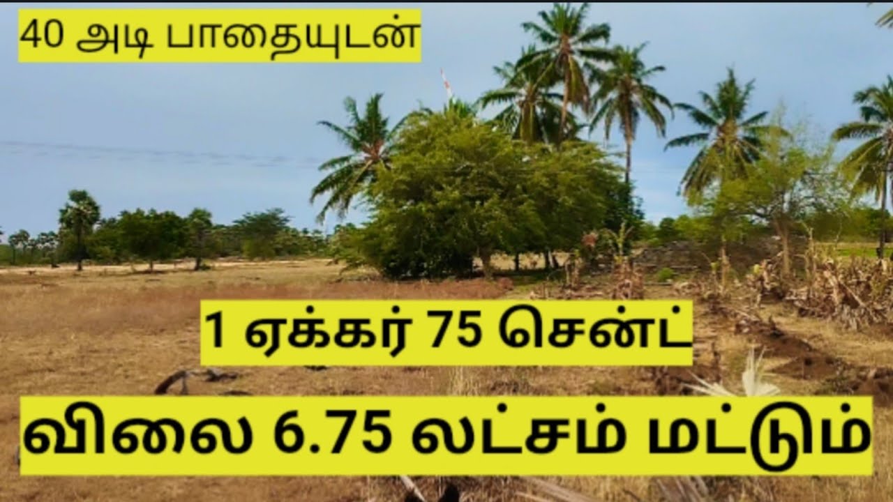1ஏக்கர் 75 சென்ட் விவசாய நிலம் 6.75 லட்சம் மட்டும்