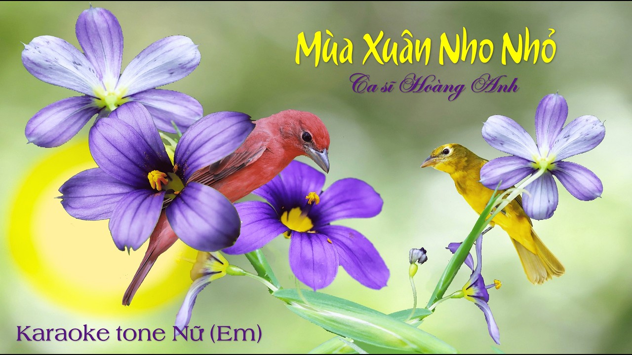 Karaoke Một Mùa Xuân Nho Nhỏ tone nữ - Ca sĩ Hoàng Anh (Em)