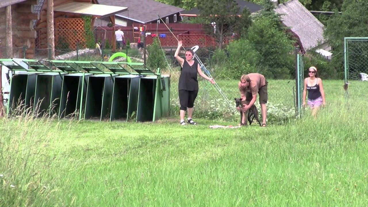 Křešín 17. 6. 2012