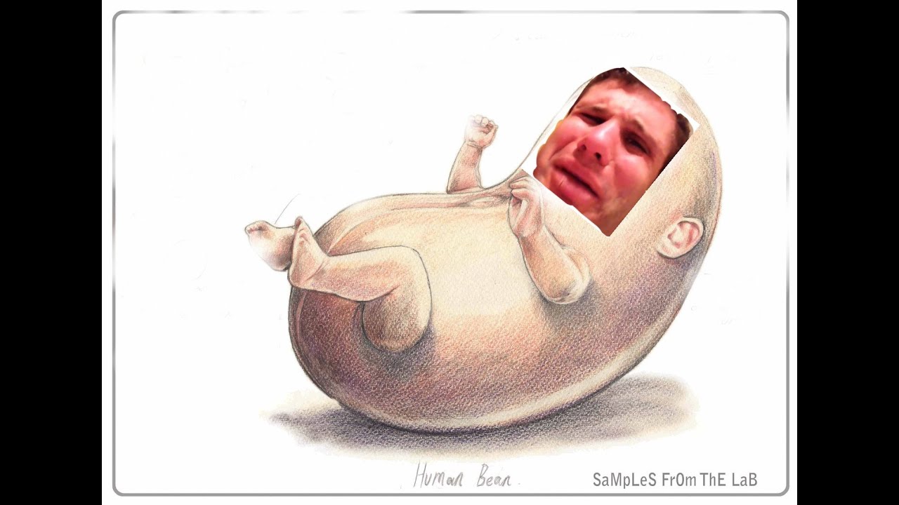Jason Genova admits to scamming, i'm human bean