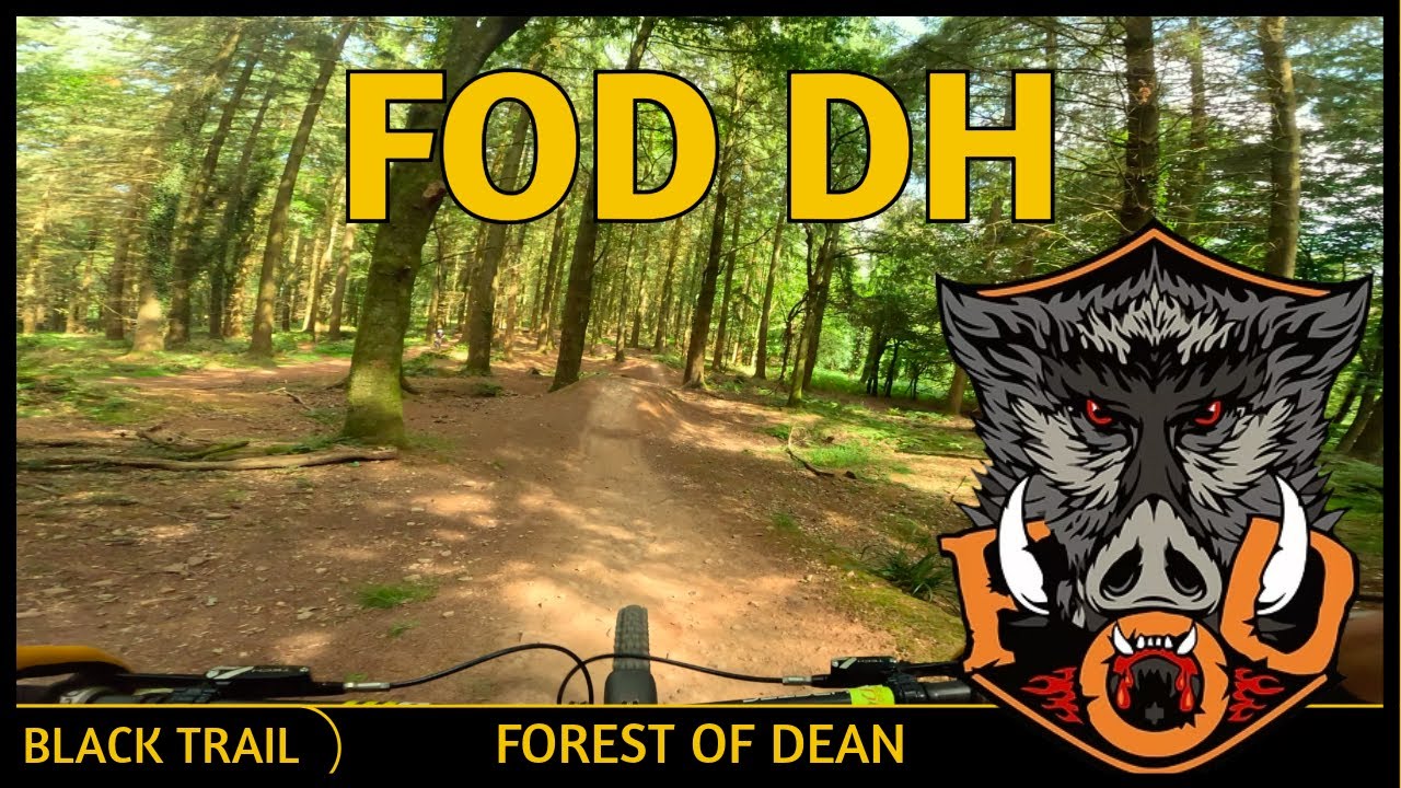 Forest of Dean DH (Black) Tracks ** Complete **