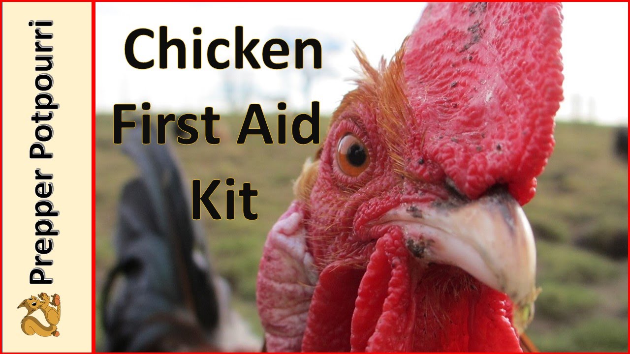Chicken First Aid Kit