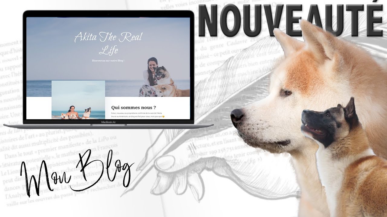AKITA INU & AMÉRICAIN #MON BLOG
