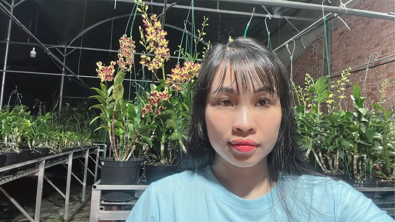 Vô bốc phốt cuối năm để cả nhà