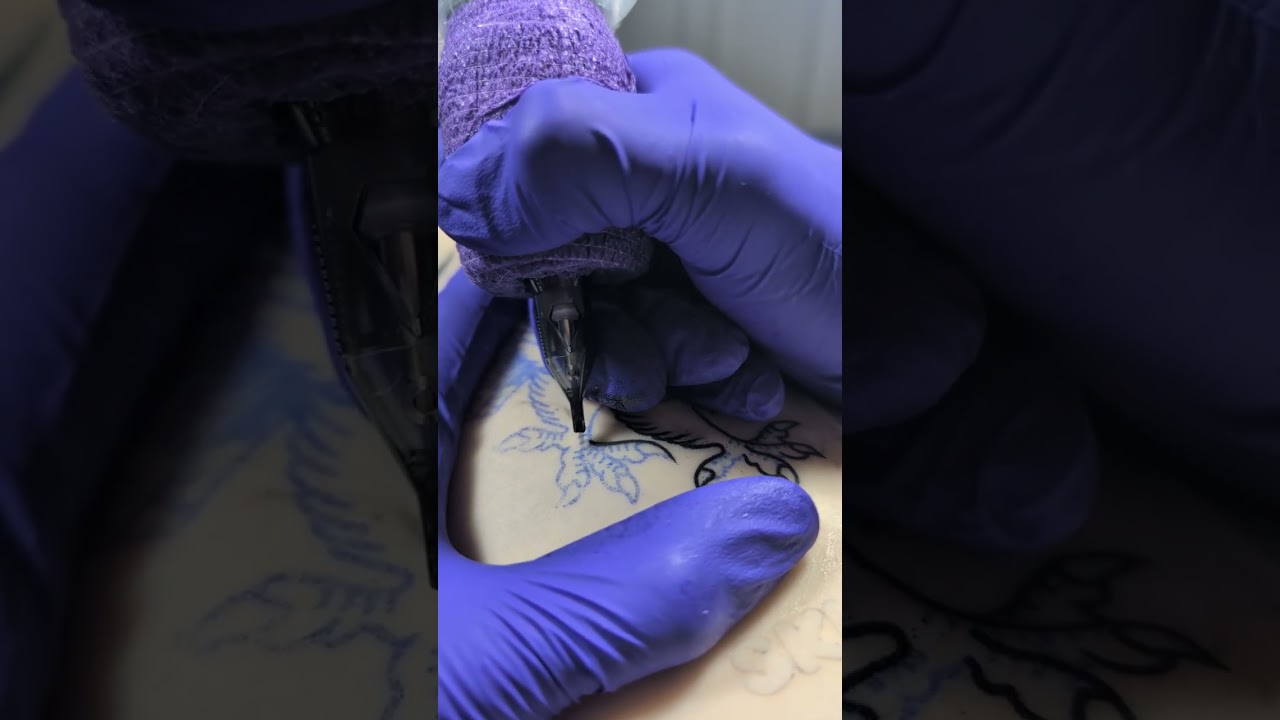 Owl main outline. 1209RL, 7.5V, 4.2mm, critical Torque 