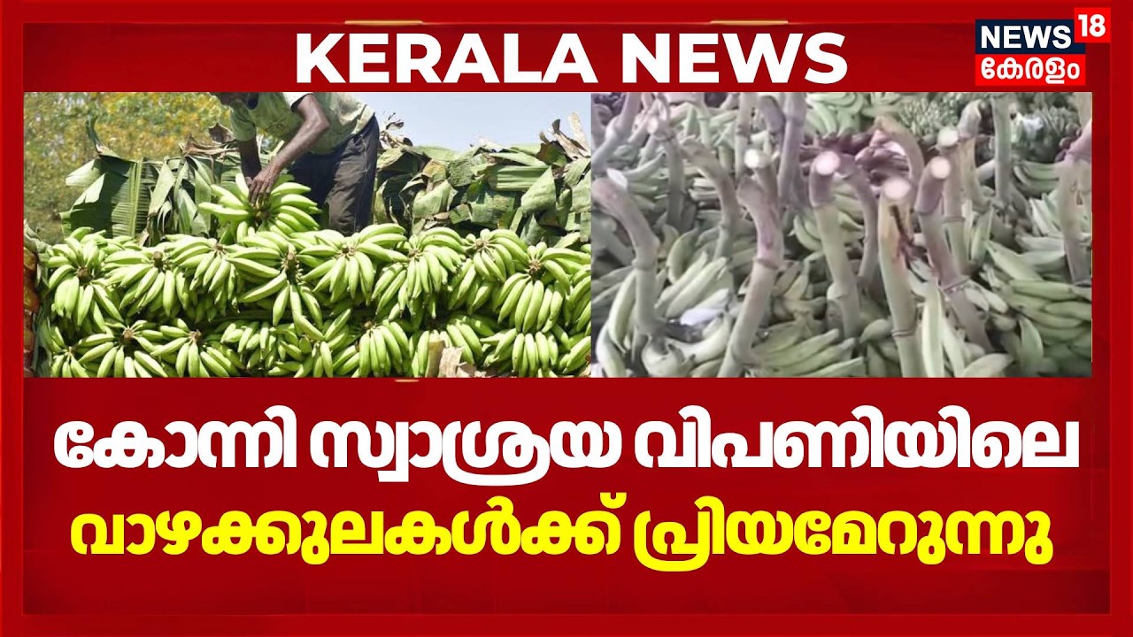 Onam 2026 | Pathanamthitta  കോന്നി വകയാറിലെ സ്വാശ്രയ വിപണിയിലെ നേന്ത്രക്കുലകൾക്ക് പ്രിയമേറുന്നു