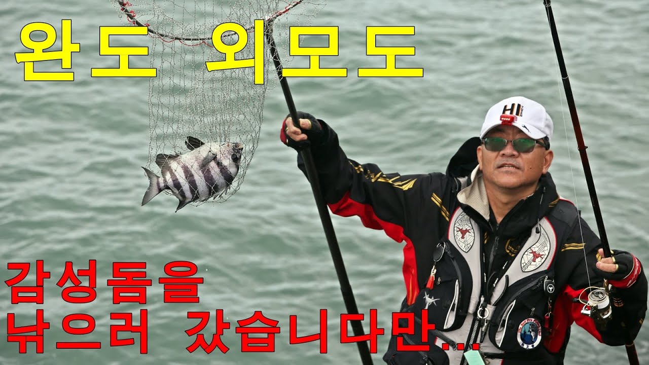 완도 외모도 가을 시즌 오픈[해우회]