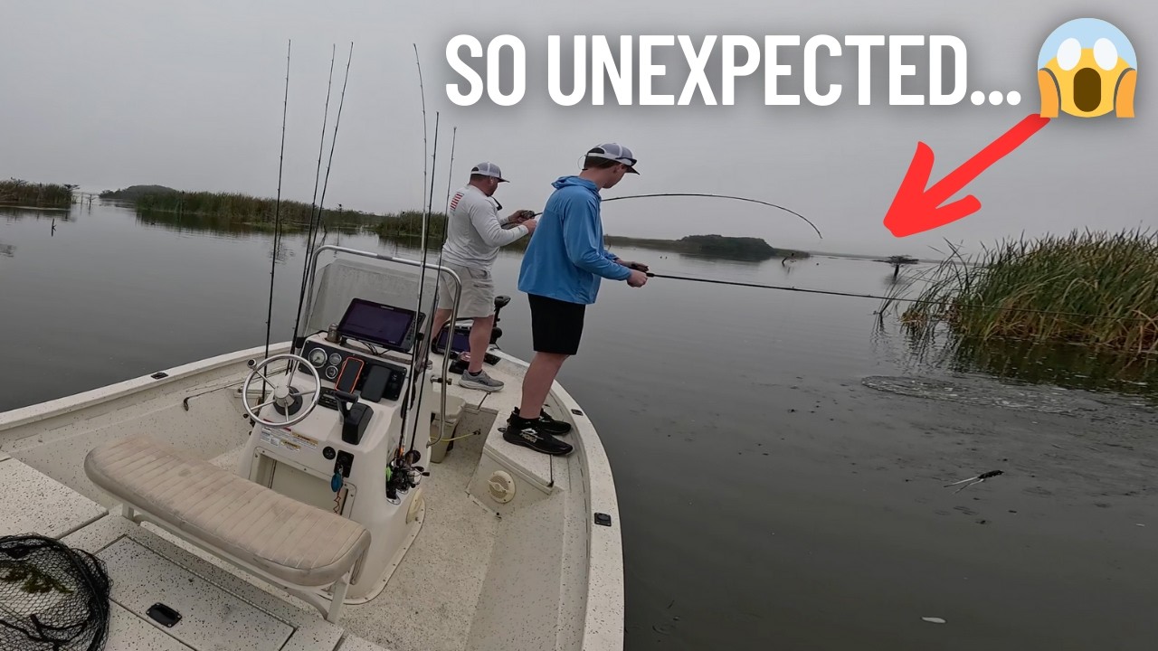 Dad hooked a GIANT in Lake Headwaters, FL | It just got INSANE 🤯