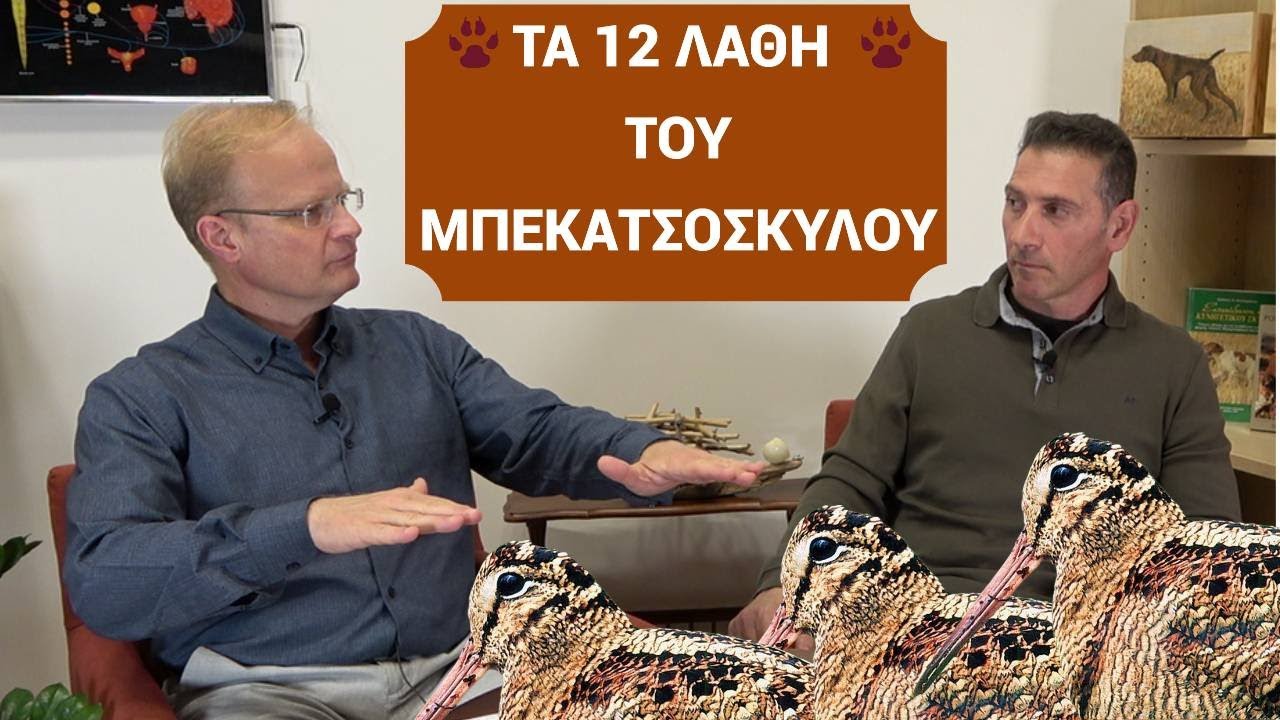 Τα 12 βασικά λάθη του μπεκατσόσκυλου. Νίκος Σταθόπουλος, μπεκατσάς, περδικάς.
