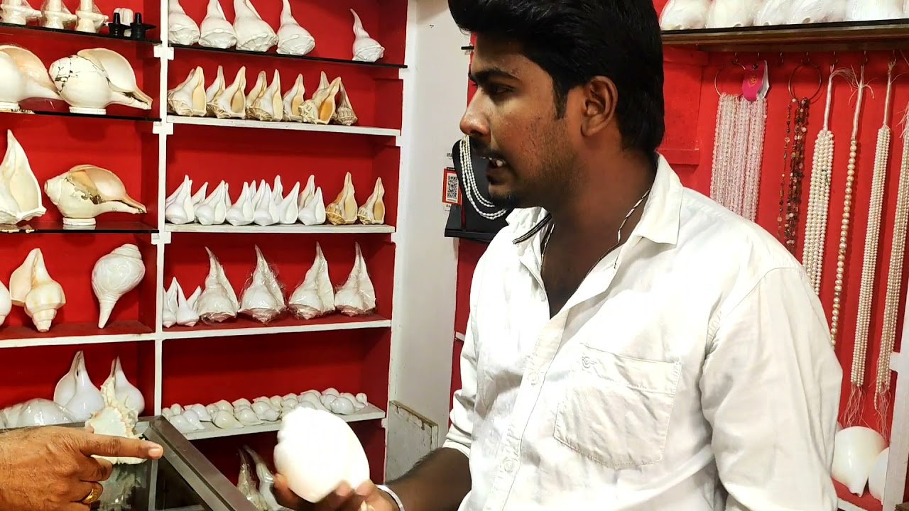 உலகத்தின் மிகப்பெரிய சங்கு இராமேஸ்வரத்தில் உள்ளது உங்களுக்கு தெரியுமா....?