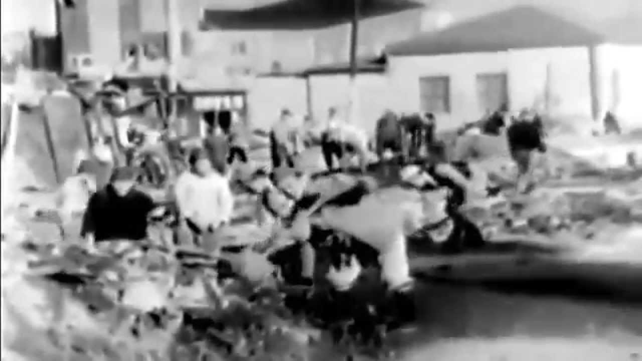 1946 U.S. Army Orientation Film 