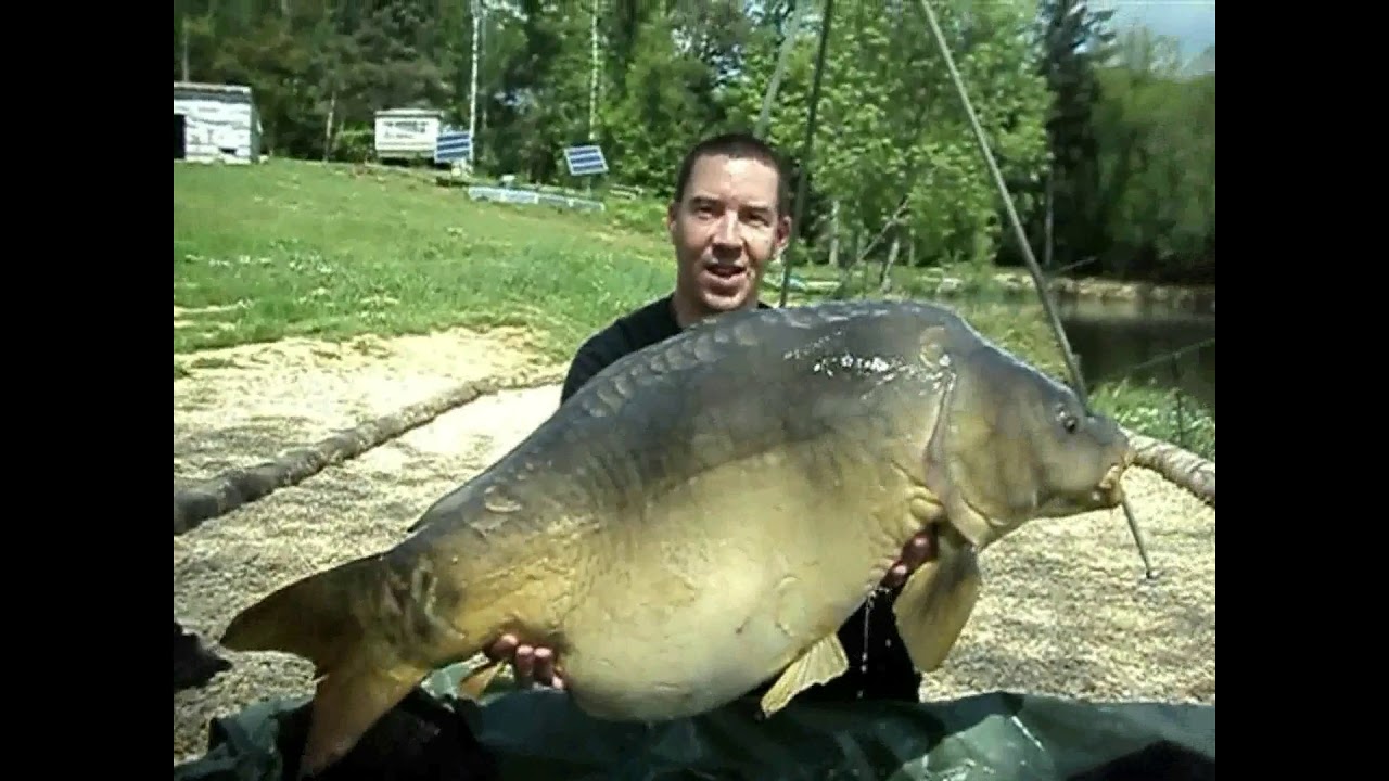 Bigbang TV : Elévateur de ligne ( 3 carpes 21 kg + )