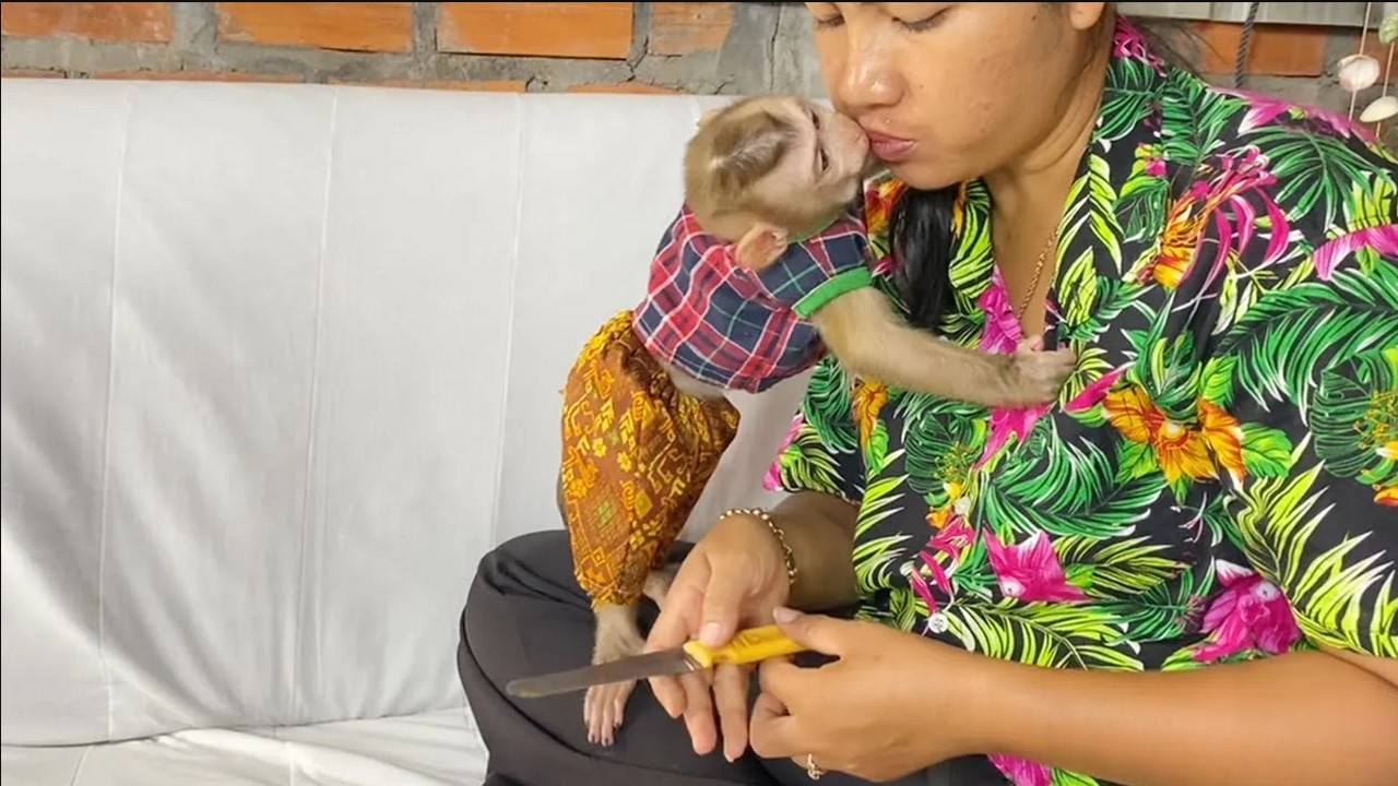 Precious DAM Kiss Mom So Sweet During Feeding Him