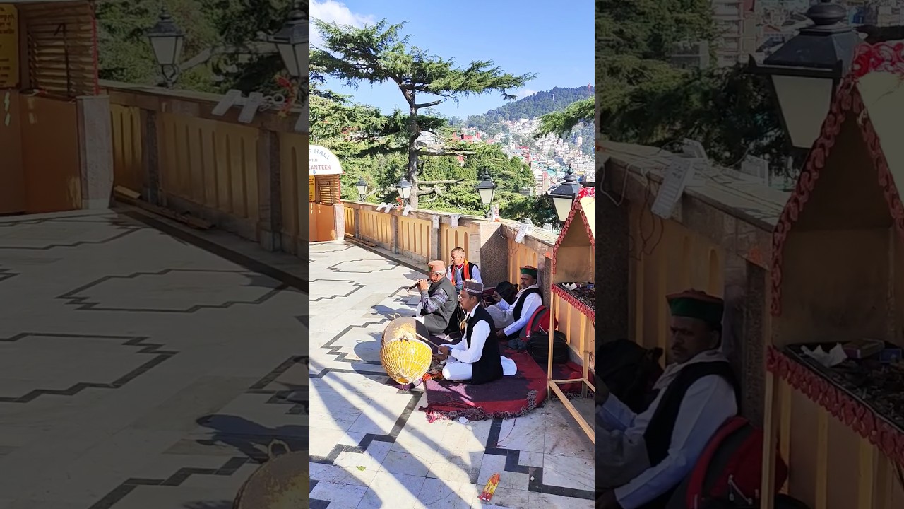 Kali Bari Temple Shimla😍|Himachali Tradition #navratri #himachalpradesh #jaimatadi #shorts