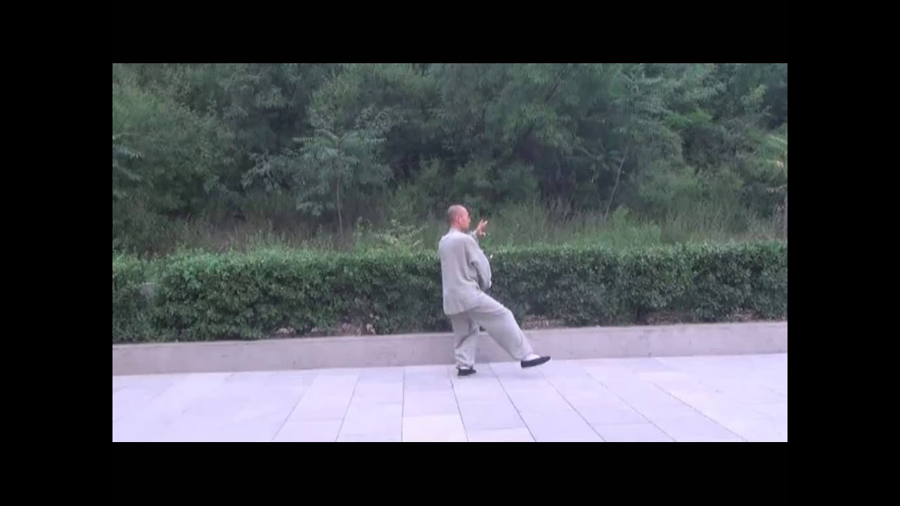 正宗杨氏太极拳教学精解4