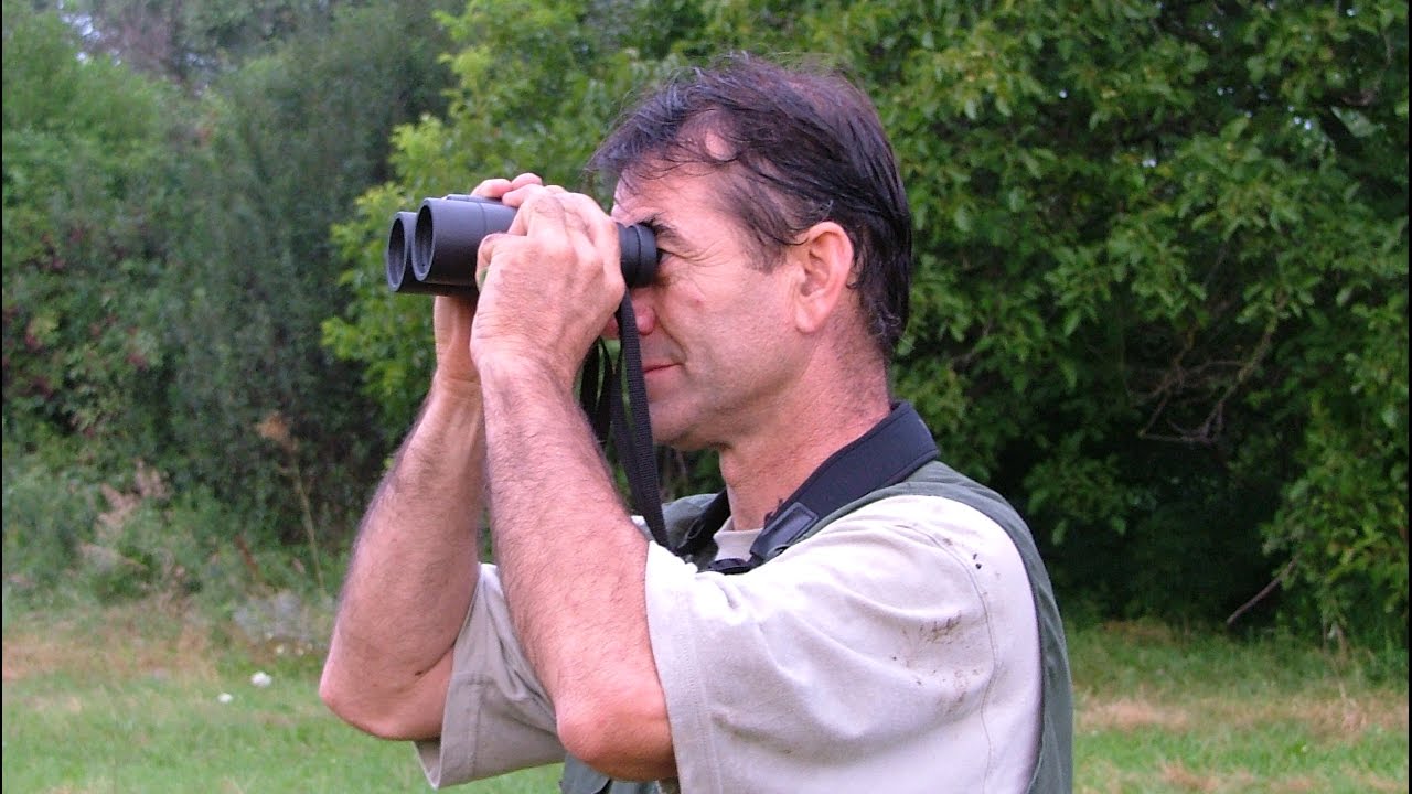 CACCIA AL CAPRIOLO AL FISCHIO IN UNGHERIA CON LASZLO by Marco Benecchi