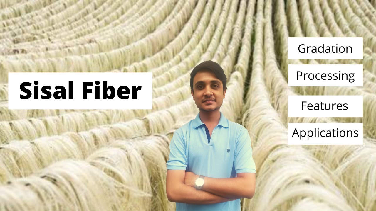 Sisal Fibre Production || Gradation || Processing || Features || Applications