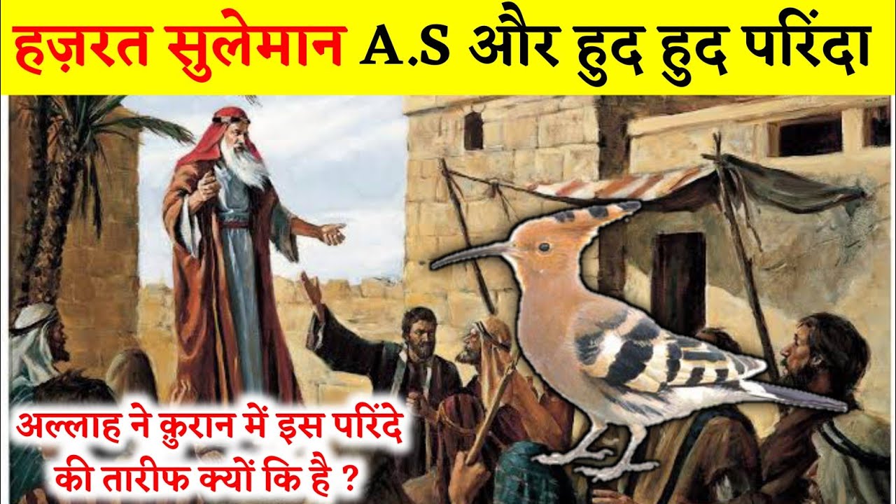 Hazrat Suleiman(AS) Aur HudHud Parinda ||Hoopoe bird in Quran || Noore Hadees