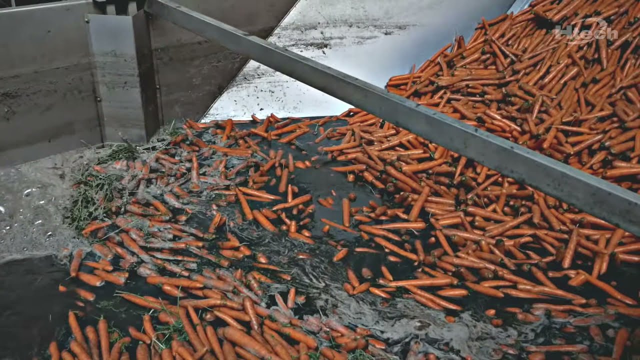 HTECH Carrot washing