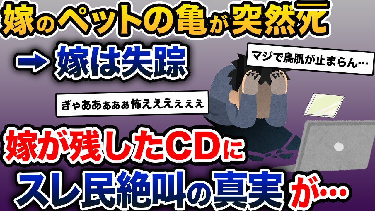 【伝説のスレ】嫁のペットの亀がﾀﾋんだ。俺「寿命だったんだよ」嫁「違うの！」→スレ民絶叫の真相が明らかに…【2ch修羅場スレ・ゆっくり解説】【前編】